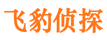 班戈侦探公司